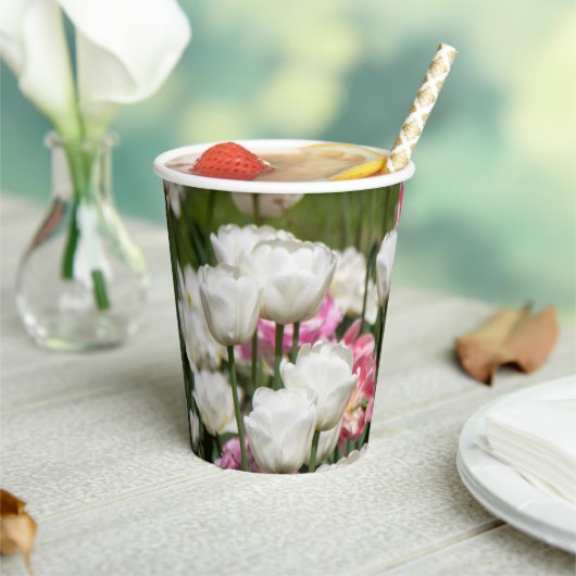 晴れた上に明るい白とピンクのチューリップ 紙コップ (インサイチュ)