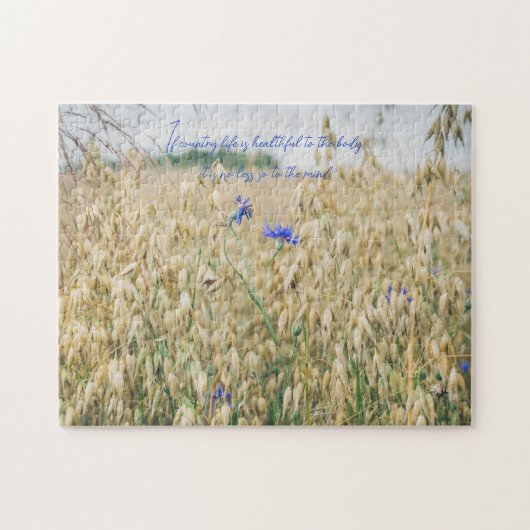 晴れた夏の野原 ジグソーパズル (横)