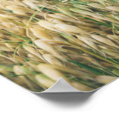 晴れた夏の野原 ポスター (角)