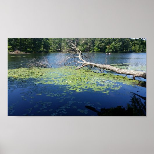 晴れた夏 ポスター (正面)