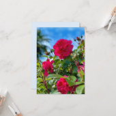 晴れた庭の花の写真 カード (正面/裏面インサイチュ)