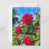 晴れた庭の花の写真 カード (正面)