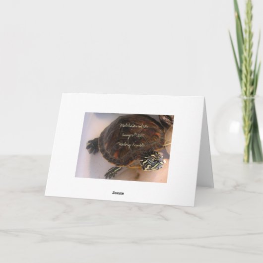 晴れた思い カード (裏面)