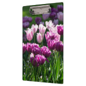 晴れた日に明るい薄紫とピンクのチューリップ クリップボード (左)