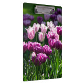 晴れた日に明るい薄紫とピンクのチューリップ クリップボード (右)