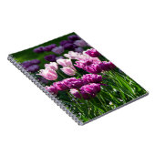 晴れた日に明るい薄紫とピンクのチューリップ ノートブック (右側)