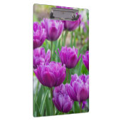 晴れた日に明るい薄紫チューリップ クリップボード (右)