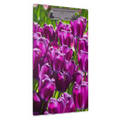 晴れた日に明るい薄紫チューリップ クリップボード (右)