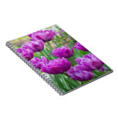 晴れた日に明るい薄紫チューリップ ノートブック (右側)