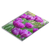 晴れた日に明るい薄紫チューリップ ノートブック (左側)