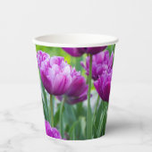 晴れた日に明るい薄紫チューリップ 紙コップ (正面)