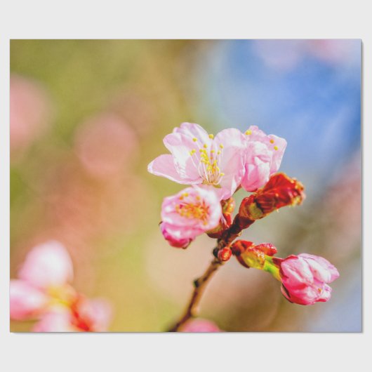 晴れた日に美しいピンクの桜の花を咲かせる ラッピングペーパー (フラット)