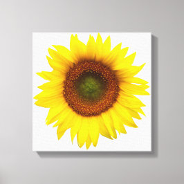 晴れた日のヒマワリのキャンバスプリントの装飾 キャンバスプリント