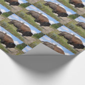 晴れた日の包装紙のバッファロー ラッピングペーパー (角)