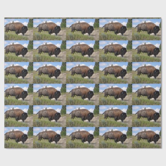 晴れた日の包装紙のバッファロー ラッピングペーパー (フラット)