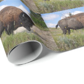 晴れた日の包装紙のバッファロー ラッピングペーパー (ロールコーナー)