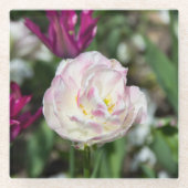 晴れた日の明るいピンクのチューリップ ガラスコースター (正面)