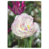 晴れた日の明るいピンクのチューリップ クリップボード (裏面)