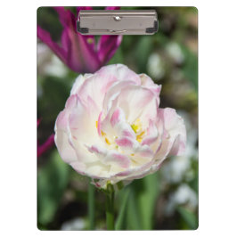 晴れた日の明るいピンクのチューリップ クリップボード