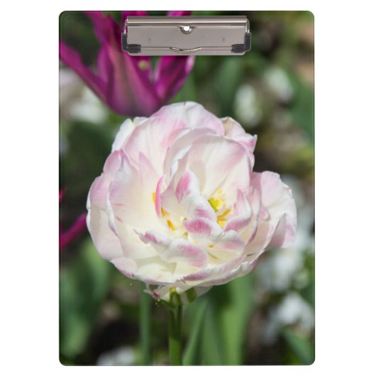 晴れた日の明るいピンクのチューリップ クリップボード (正面)