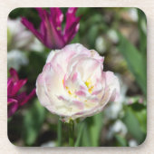 晴れた日の明るいピンクのチューリップ コースター (正面)