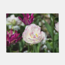 晴れた日の明るいピンクのチューリップ