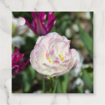 晴れた日の明るいピンクのチューリップ