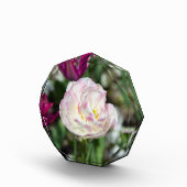 晴れた日の明るいピンクのチューリップ フォトブロック (右)