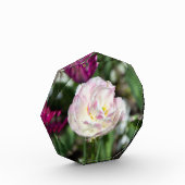 晴れた日の明るいピンクのチューリップ フォトブロック (左)