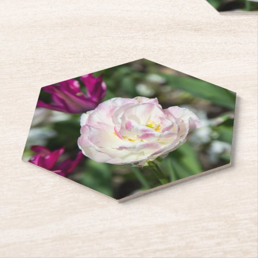 晴れた日の明るいピンクのチューリップ ペーパーコースター (アングル)