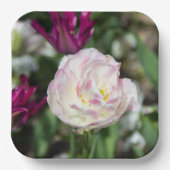 晴れた日の明るいピンクのチューリップ ペーパープレート (正面)