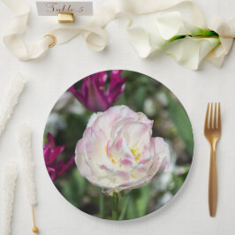 晴れた日の明るいピンクのチューリップ ペーパープレート