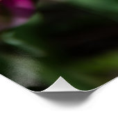 晴れた日の明るいピンクのチューリップ ポスター (コーナー)