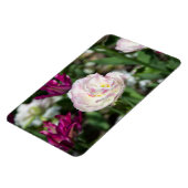 晴れた日の明るいピンクのチューリップ マグネット (左側)