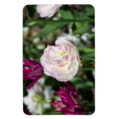 晴れた日の明るいピンクのチューリップ マグネット (縦)