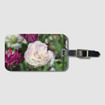 晴れた日の明るいピンクのチューリップ