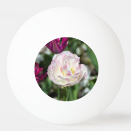 晴れた日の明るいピンクのチューリップ 卓球ボール