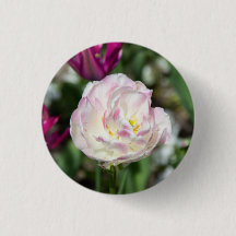 晴れた日の明るいピンクのチューリップ