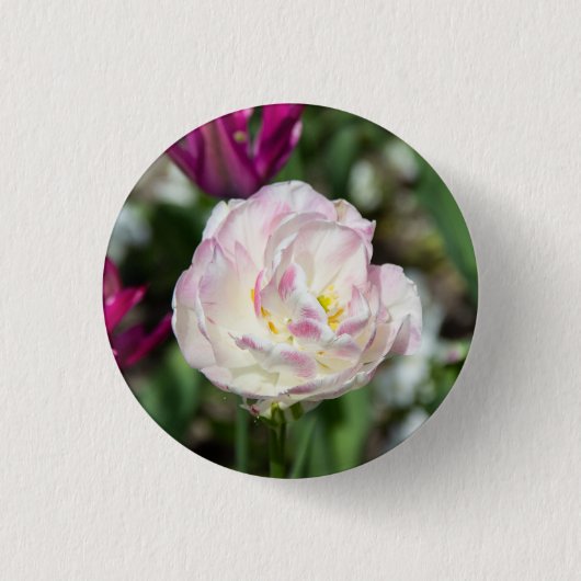 晴れた日の明るいピンクのチューリップ 缶バッジ (正面)