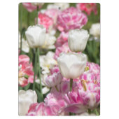 晴れた日の明るい白とピンクのチューリップ クリップボード (裏面)