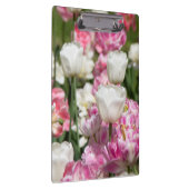 晴れた日の明るい白とピンクのチューリップ クリップボード (右)