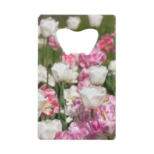 晴れた日の明るい白とピンクのチューリップ クレジットカード栓抜き (正面)