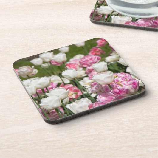 晴れた日の明るい白とピンクのチューリップ コースター (左側)