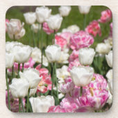 晴れた日の明るい白とピンクのチューリップ コースター (正面)