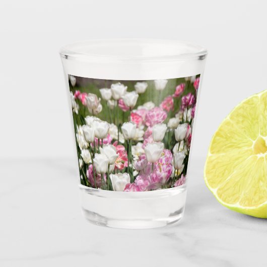 晴れた日の明るい白とピンクのチューリップ ショットグラス (正面)