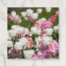 晴れた日の明るい白とピンクのチューリップ