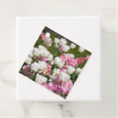 晴れた日の明るい白とピンクのチューリップ フェイバータグ (インサイチュ)