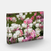 晴れた日の明るい白とピンクのチューリップ フォトブロック (左)
