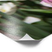 晴れた日の明るい白とピンクのチューリップ フォトプリント            (角)