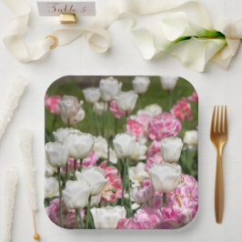 晴れた日の明るい白とピンクのチューリップ ペーパープレート